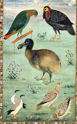 by Ustad Mansur 1625