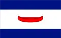 Flag of Dubăsari