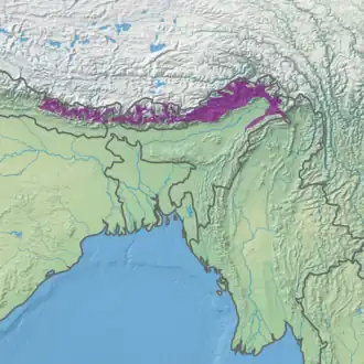 Eastern Himalayan broadleaf forests