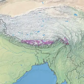 Eastern Himalayan alpine shrub and meadows