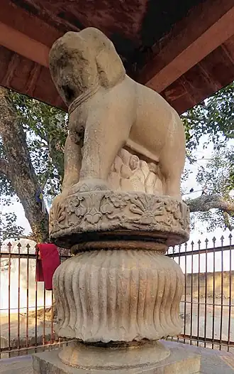 Sankissa elephant.