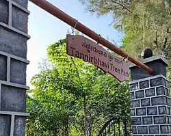 Entrance of the Tannirbhavi Tree Park in Mangaluru