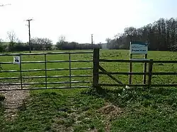 Greywell Moors
