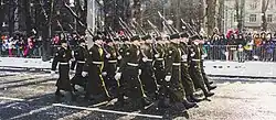 Soldiers of the Estonian Army's Guard Battalion in the parade (24 February 2018)