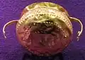 Gold vessel from Biia, Romania, 12th century BC