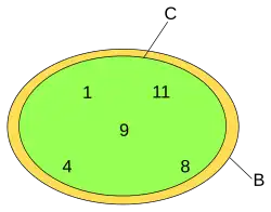 C is a subset but not a proper subset of B.