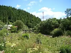 Gârda de Sus