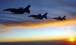 Griffins before the sunset
