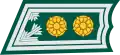 Lieutenant Colonel