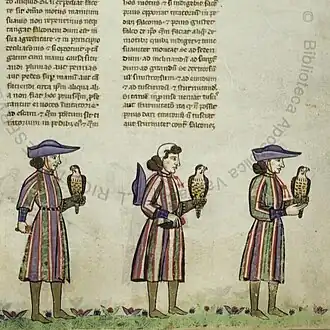 8 - Falconers wearing bycocket caps