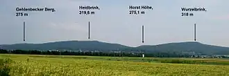 The Wurzelbrink (far right) seen from the north