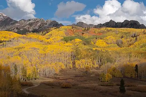 Autumn along the West Elk Loop Scenic and Historic Byway