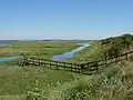 Farlington Marshes