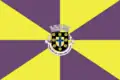 Flag of Municipality of Albergaria-a-Velha