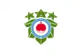 Flag of Biratori