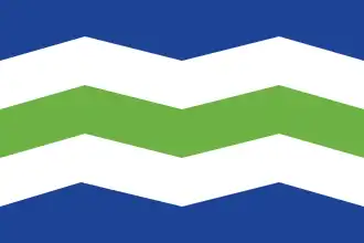 Burlington's Flag