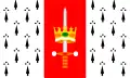 Flag of Carolina