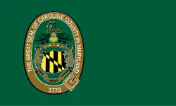 A green flag with the county seal on the left side