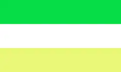 Flag of Chinandega
