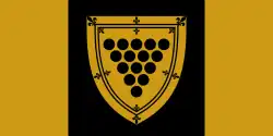 Granted Flag of Cornwall, Ontario