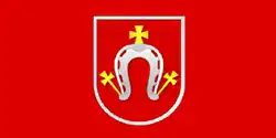 Flag of Drybin