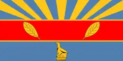 Flag of Harare, capital of Zimbabwe