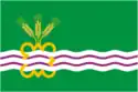 Flag of Kamensky District