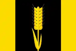 Flag of Karagaysky District