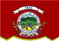 Flag of Kings County