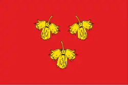Flag of Krasnoye
