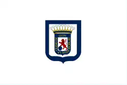 Flag of León Department