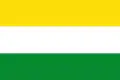 Flag of Manzanares, Caldas