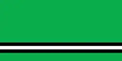 Flag of Asipovichy district