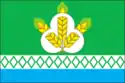 Flag of Ozyory