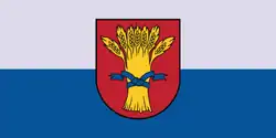 Flag of Rūjiena Municipality
