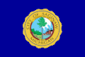 Flag of Saginaw