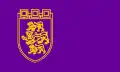 Flag of Veliko Tarnovo