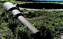 Flat Holm Canon