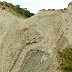 Image showing the distinct geological layers