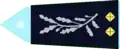 Commissaire general (Commissioner General)