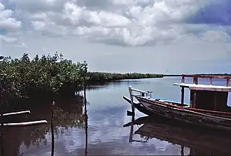 The river.