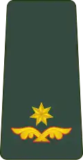 მაიორი Maiori (Georgian Land Forces)[35]