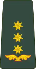 პოლკოვნიკი P’olk’ovnik’i[9] (Georgian Land Forces)