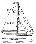 Firecrest sailplan