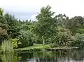 Glenwhan Garden in Dunragit
