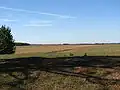 Great Hungarian Plain near Nagylapos