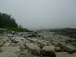 East Shore