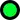 The green dot which represents the location of Cherkizovsky Market