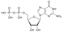 Skeletal formula of guanosine diphosphate