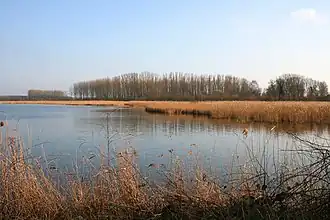 The Harchies Marshes.